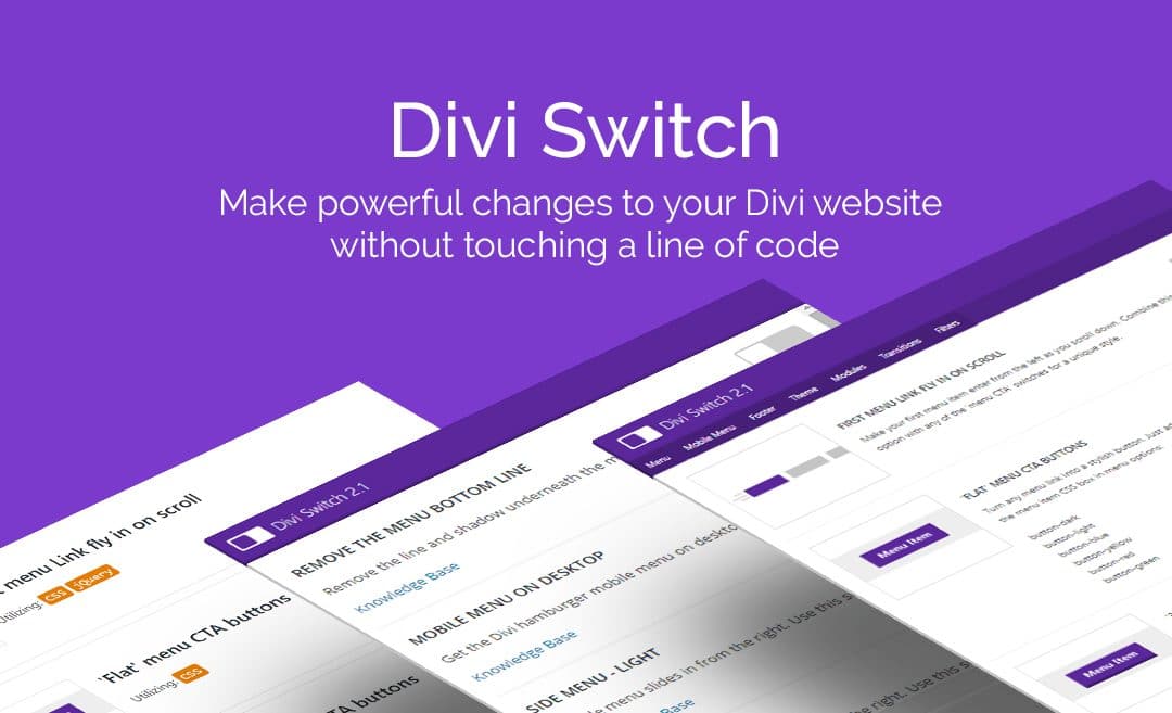 Divi Switch: quelles options supplémentaires pour votre site?