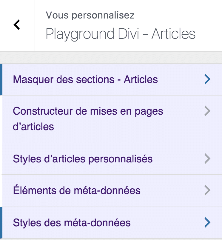 Paramétrages des articles avec le plugin Divi Children