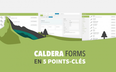 5 bonnes raisons de choisir Caldera Forms pour vos formulaires