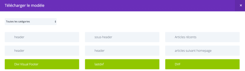 selectionner modele bibliotheque divi