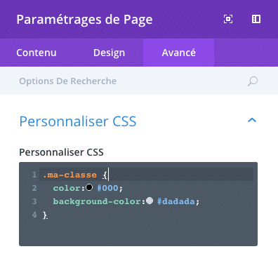 Ajouter des styles CSS dans les paramètres de la page de Divi