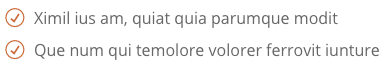 Une liste dans Divi avec les puces remplacées par des icones