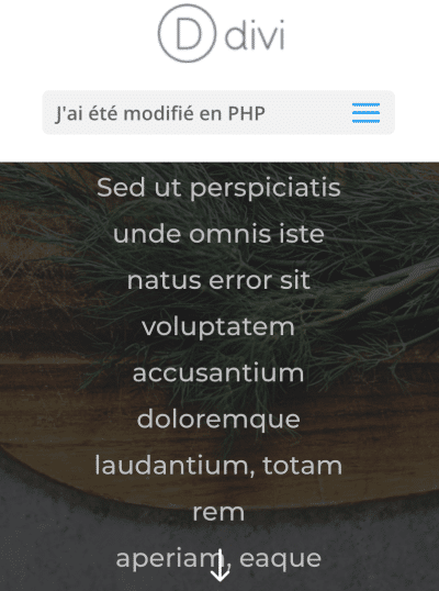 Modifier le libellé du menu mobile centré de Divi avec PHP