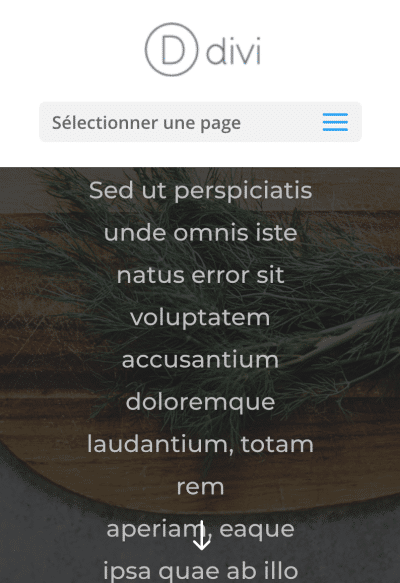 selectionner page divi