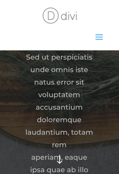 Supprimer le libellé du menu mobile centré de Divi avec CSS