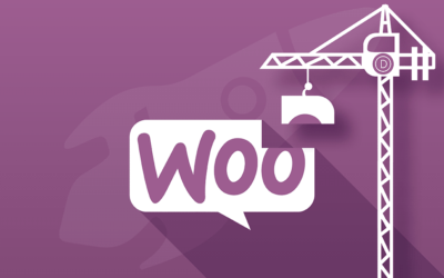 Personnaliser vos pages WooCommerce avec le Divi Builder