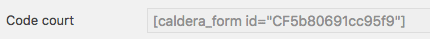 Shortcode d'un formulaire Caldera Forms