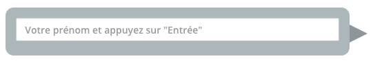 Styler en CSS les inputs, placeholders et le textarea pour le formulaire de type chatbot