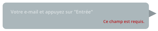 Styler en CSS les erreurs de champs requis pour le formulaire de type chatbot