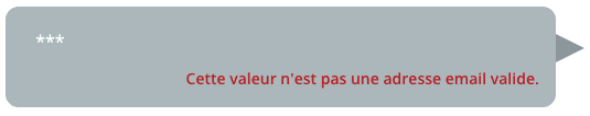 Styler en CSS les erreurs de validation pour le formulaire de type chatbot