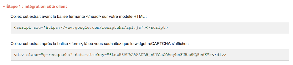 Divi Community - Intégration côté client du Google Recaptcha