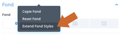 Etendre les styles d'une option spécifique dans le Divi Builder