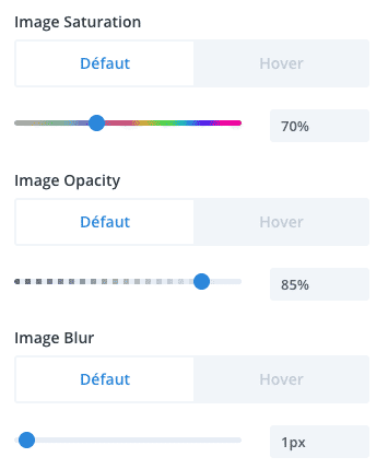 Ajoutez des effets sur les images dans le Divi Builder