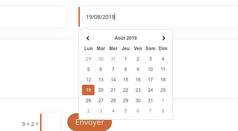 Ajouter un sélecteur de date unique au module formulaire de Divi