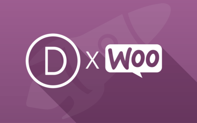 Le WooCommerce Builder de Divi