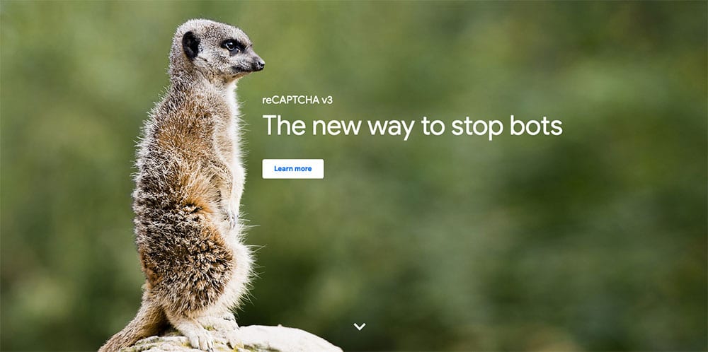 Le site de Google reCaptcha