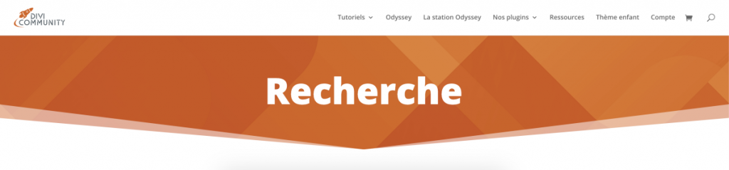 Entête de la page des résultats de recherche de Divi Community