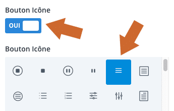 Ajouter un icone au module bouton avec le Divi Builder