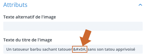 Ajouter un retour ligne dans le champ "title" du module "image" du Divi Builder