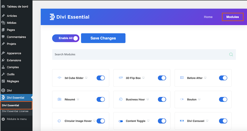 Selection des modules de Divi Essential